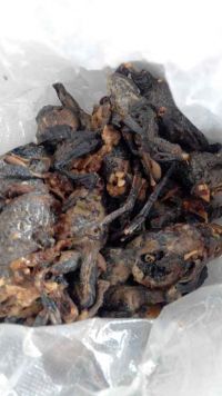 鳕鱼蛤蟆炖豆腐