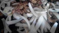 电烤盘烤棉羊肉