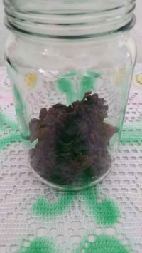 桂圆醋