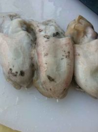 乌贼鱼菠菜汤