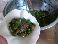 荠菜猪肉饺子