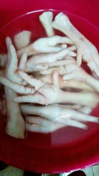 炖鸡爪