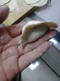 茴香馅饺子