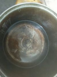 核桃小面包