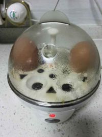 小鸡宝宝(水煮蛋)儿童