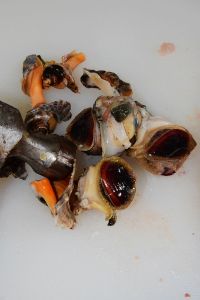 马蹄凤爪炖海螺