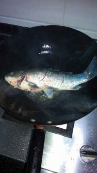 革命红烧鱼