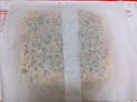 香葱肉松面包卷