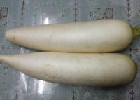 韩式萝卜条