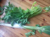 芹菜瘦肉包子