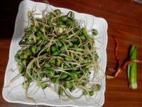 凉拌绿豆芽