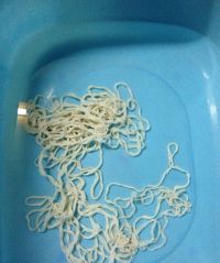 猪肉玉米肠