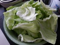 炝炒圆白菜