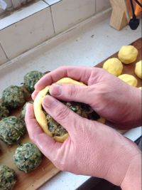 杨树吊菜饽饽