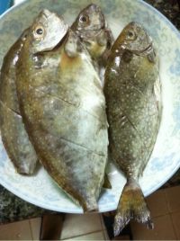 鱼汤