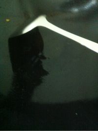 鱼汤