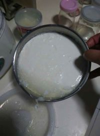 自制原味酸奶