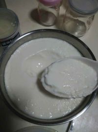 自制原味酸奶