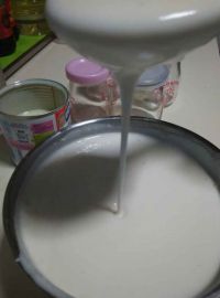 自制原味酸奶