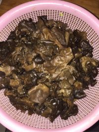 木耳青椒肉丝