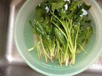 素炒菠菜