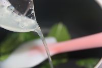 葡萄柚柠檬薄荷果冻