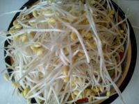 浇汁豆芽