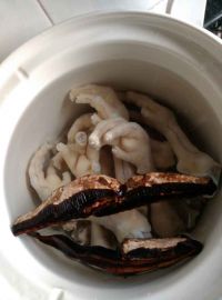 灵芝花胶煲鸡脚
