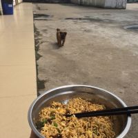 炒方便面
