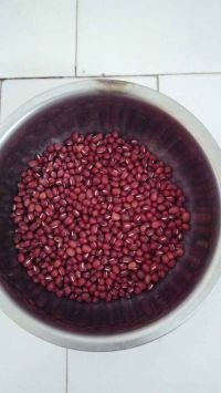 自制豆沙泥