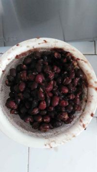自制豆沙泥