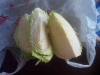 蔬菜包子