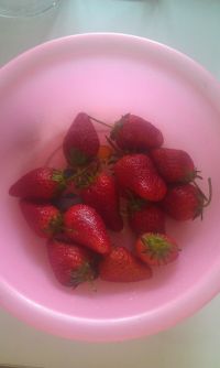糖霜草莓
