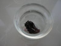 玫瑰茄布丁