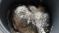 红烧鲫鱼