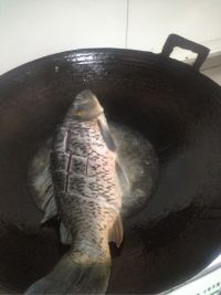 菊花鲤鱼