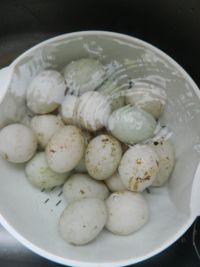 腌咸鸭蛋