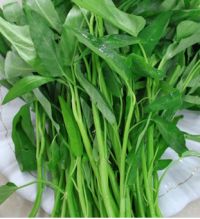 醋溜空心菜