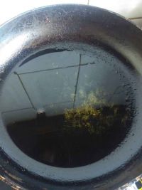 酸辣土豆丝