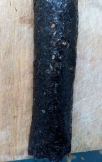 大不同寿司