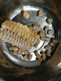 牛奶鸡蛋玉米饼
