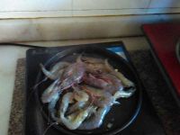 铁板虾