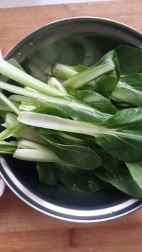 金针菇炒油菜