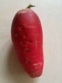 红萝卜炖牛蹄筋