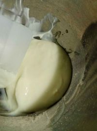 优格酸奶溶豆