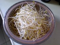香拌豆芽菜