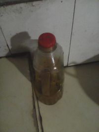 鱼块扁豆