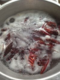 麻辣小龙虾