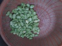 豆瓣炒茄子