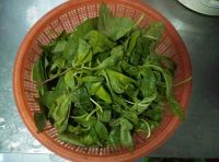 清炒蔊菜